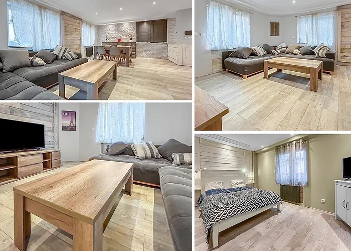 Apartament Le Diderot - Spacieux & Garage Prive Double Dijon